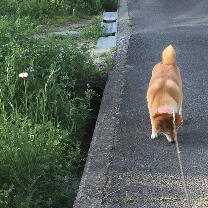 Fa53f648 8c8c 4b13 9402 01a5d2d800d9