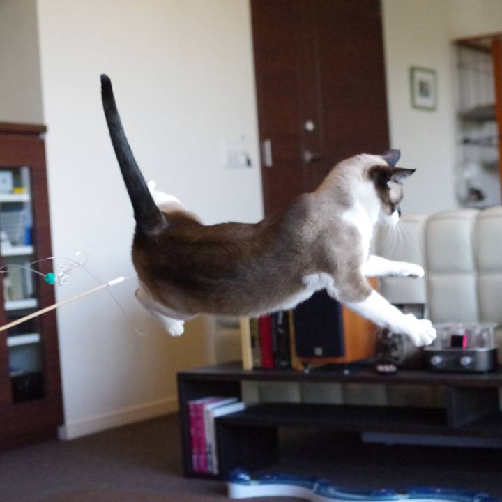 Fa549bdd abc9 4e7d b49c 95c428968803