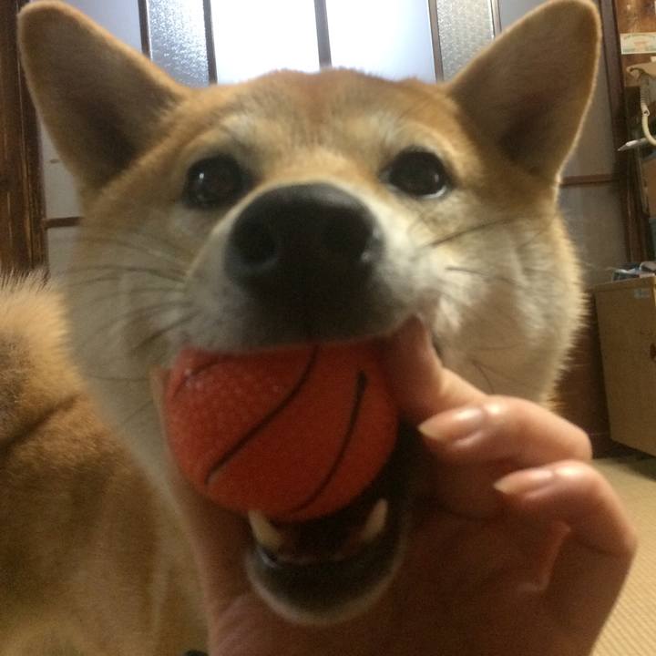 Fa54e36e b919 40f8 bcb2 3a540078ec40