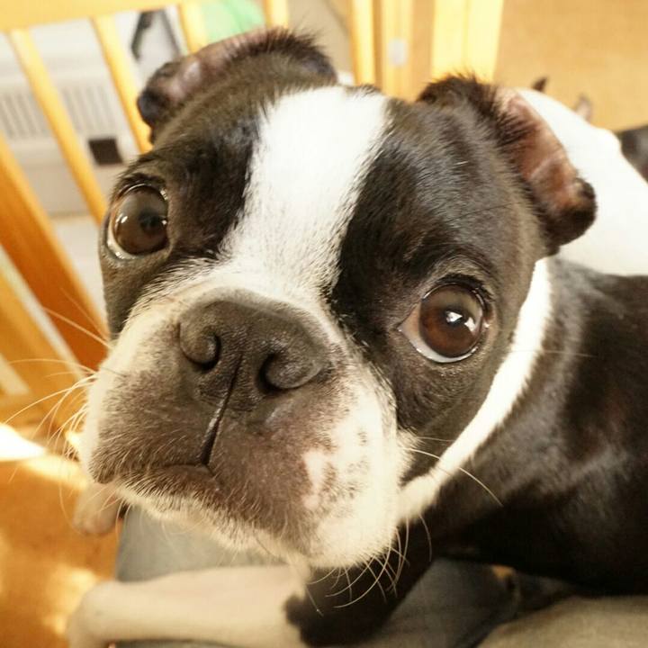 Fa5577f2 def1 4e90 a8d9 eb5d7e4ff2fa