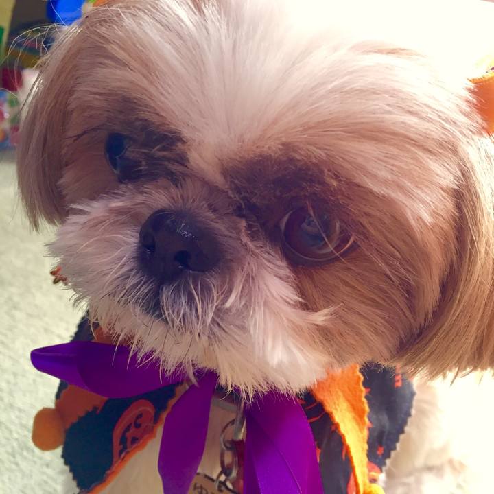 Fa56779d 422d 49ce ab8b 2a110bbb9365