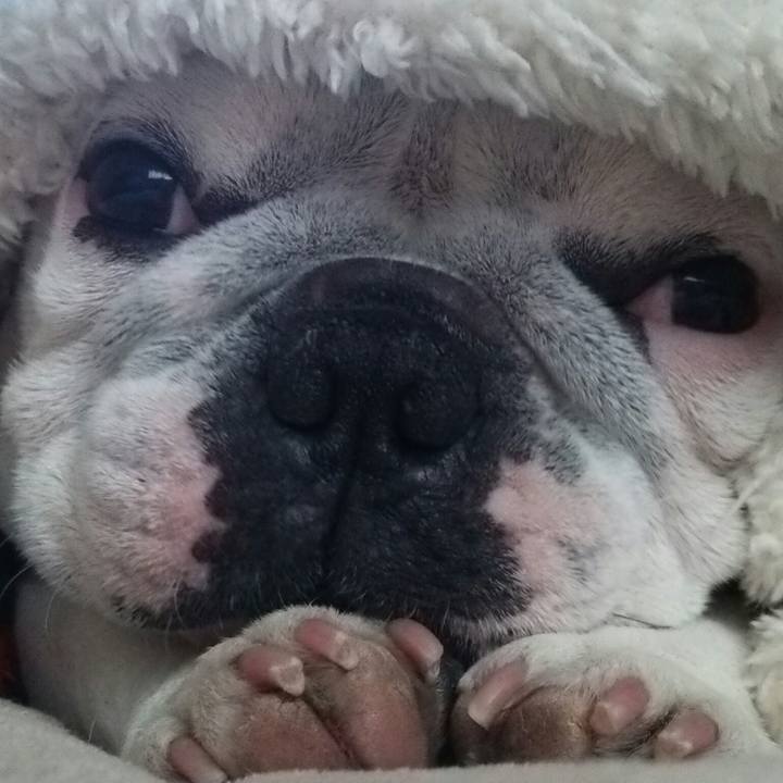 Fa569138 5443 4ee5 b35d 0549bece1e67