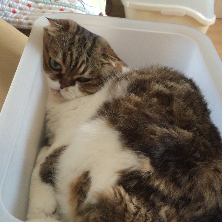 Fa58ca17 c7bd 4150 9bc1 41cb09ea4446