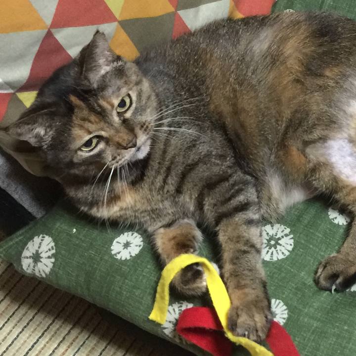 Fa58ec49 2d71 4313 9d67 fe4707032d38