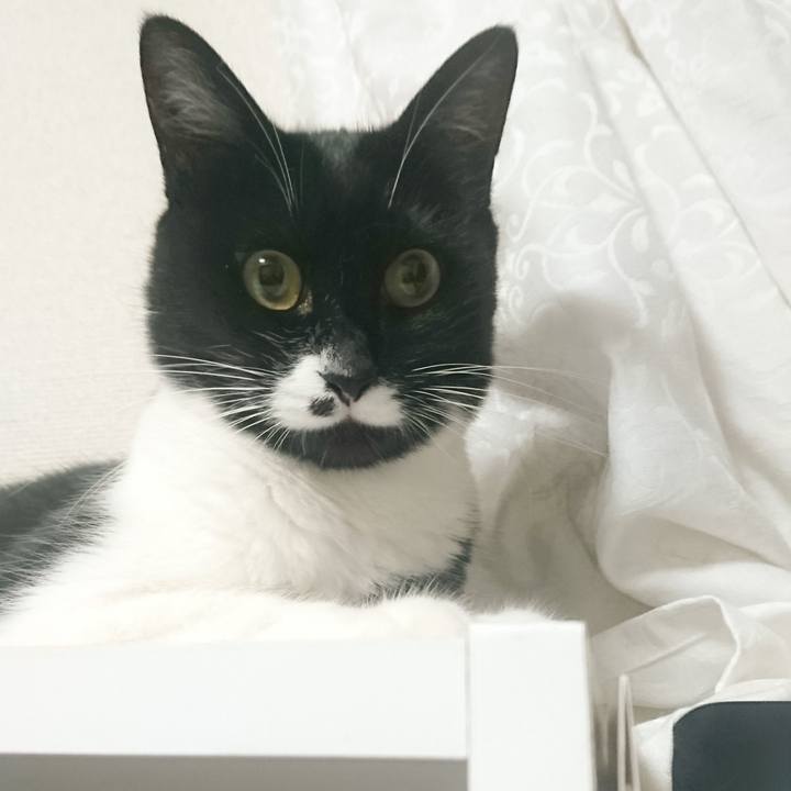 Fa592247 3f03 4427 bb06 8f8ff2a13d56