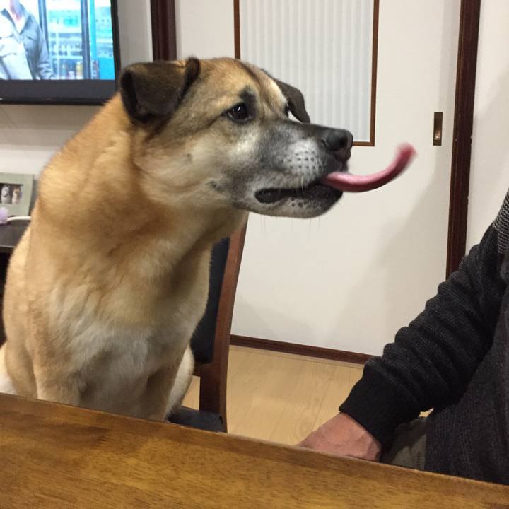 Fa59d1ce 58a2 4595 8c87 9aa20ca02841