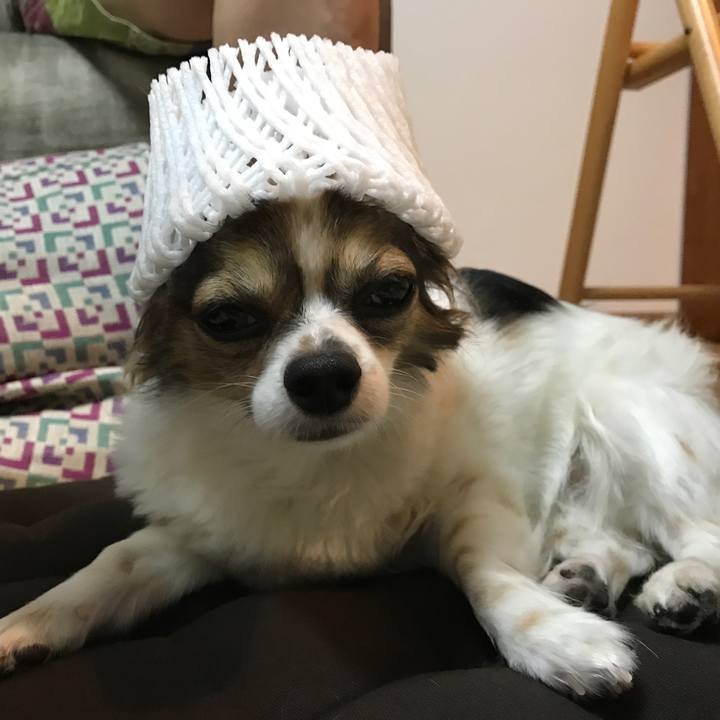 Fa59ed13 c0c2 406f 931b 64bfa49afac8