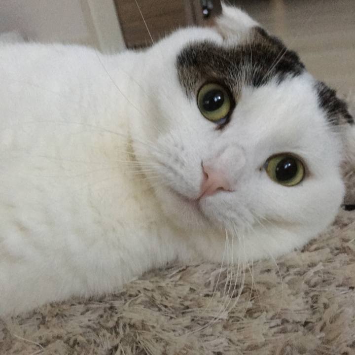 Fa5a8b1d 0c13 4090 a4dd f09b4ef25e57