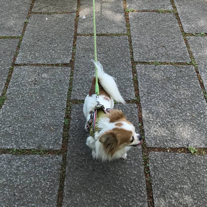 Fa5b5f22 cd60 473c 9a9f f96969be0cbd