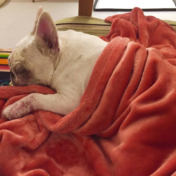 Fa5bb0d8 6fd0 4c6b a112 41fd32b7dace