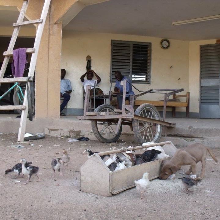 Fa5be063 a6bf 4c06 81fb 7bbf594d354b