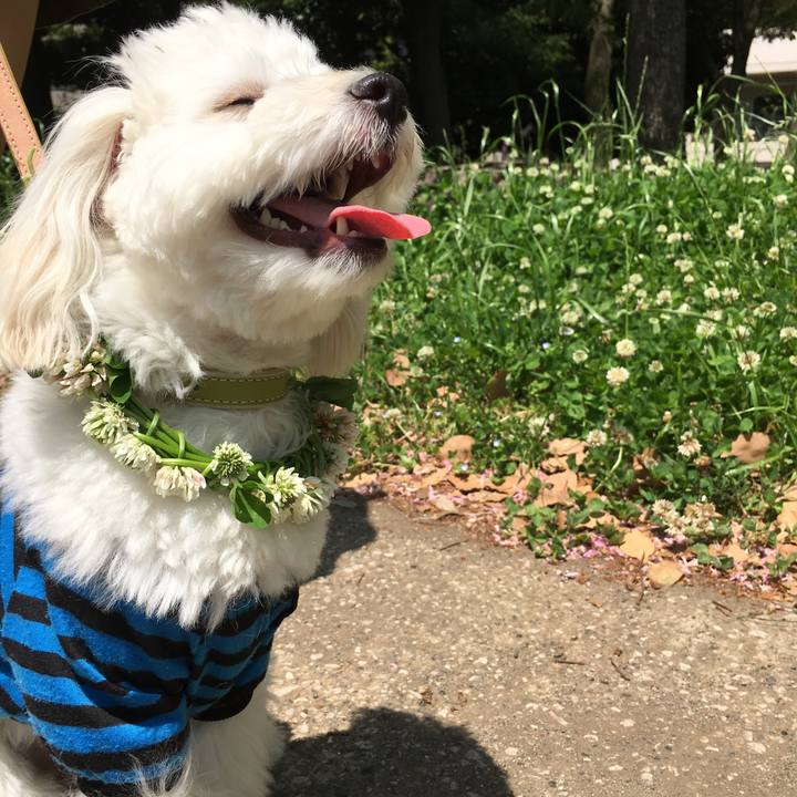 Fa5bf5f4 4115 451a b6bf 8b5fd509d9c0