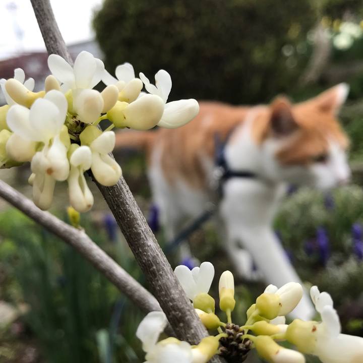 Fa5c146e 0ee0 4b8b a846 2493464bbf31