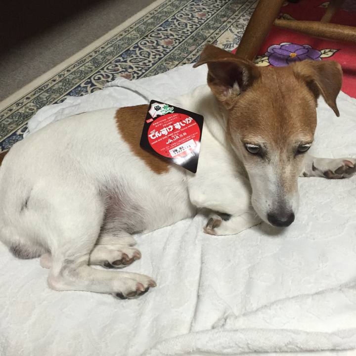 Fa5c1778 3db7 4ddf 86f0 b091b3486bf5