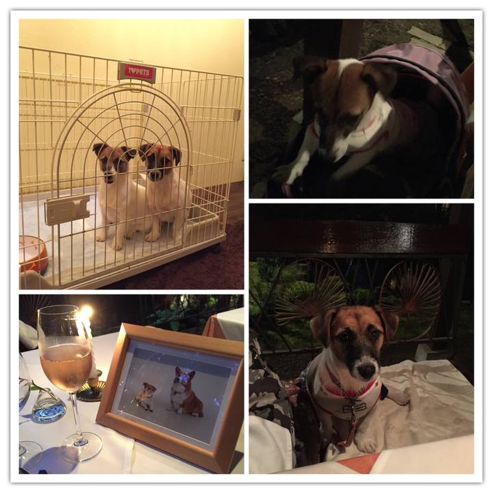 Fa5c2eeb dbab 498c 8a9e 8af7be9734d6