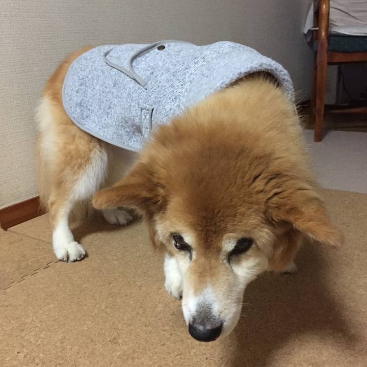 Fa5c48db ff29 4311 93b9 ef5d115f0c40