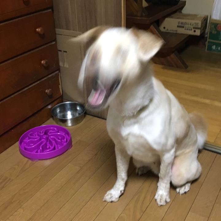 Fa5c69a8 f7ce 4dd8 bdc9 c639951e7a44