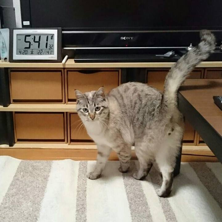 Fa5c6b5f b50e 4ceb a44f df6c282b1e63