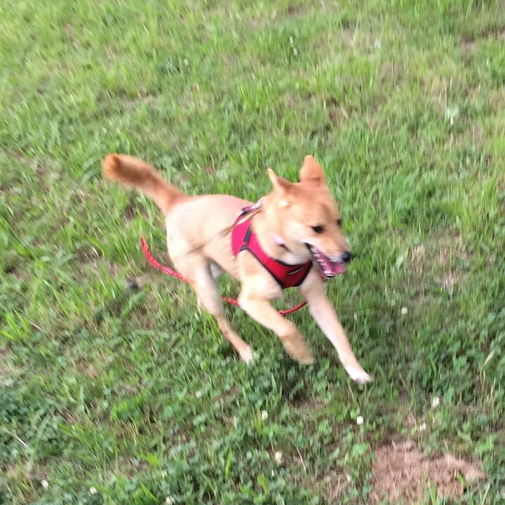 Fa5c8b96 f522 43e5 9323 8b34c6a3d7b6