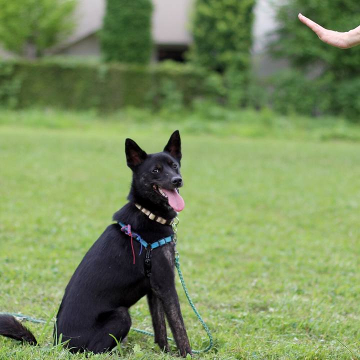 Fa5cc20f 0830 4cc6 b646 ac353685bea1