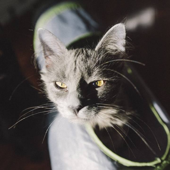 Fa5d781a a583 4d06 97de 6a836b94f6a6