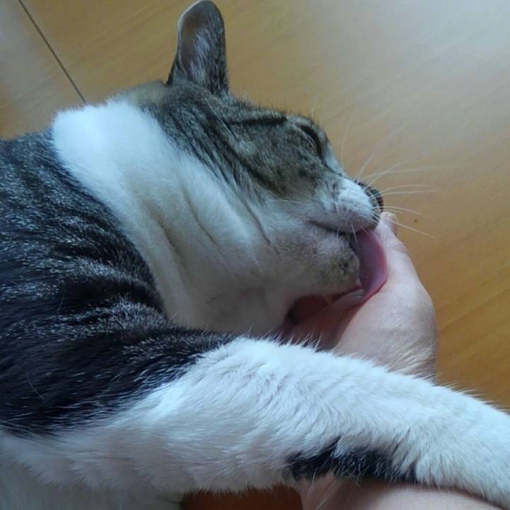 Fa5e7060 94d8 43df a2ba 39ddcd338d82