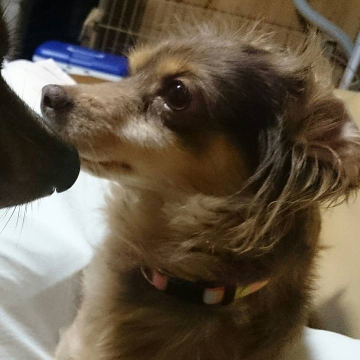 Fa600bb1 d9a0 48de 9b17 908c268f2cba