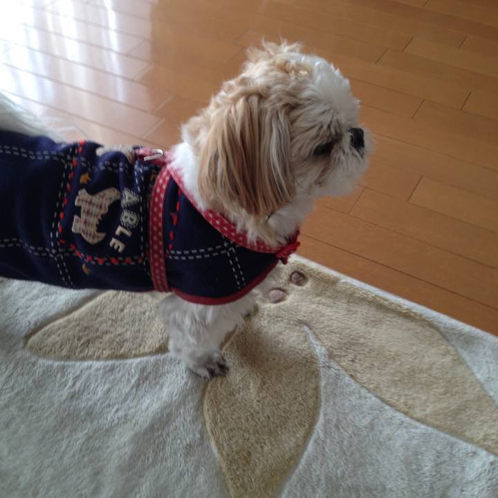 Fa604b65 b4cb 4a4f 9c58 79efec67b472