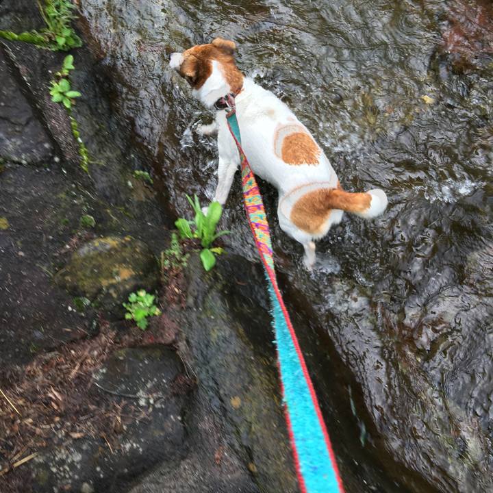 Fa60f68d 5076 47b4 bc8f 43338ae4836c