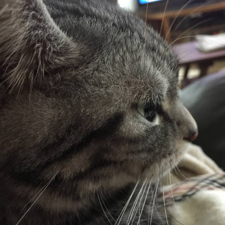 Fa61386f 8d0d 444d b823 bcfe53528c0f