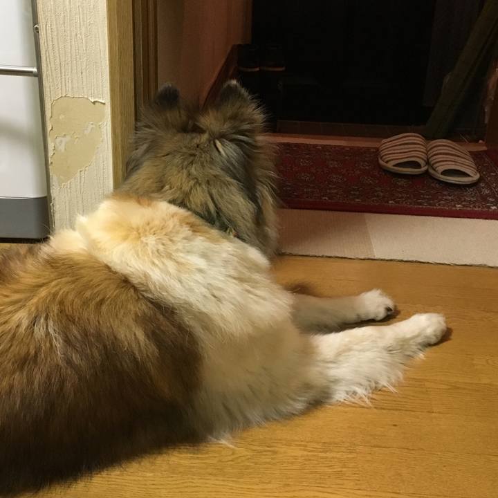 Fa61e3ca 2936 45a0 82e1 bfeabd5205a1