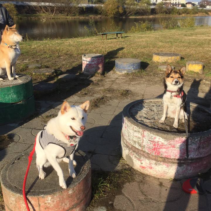 Fa624a2c 485e 4cdd a910 12083a38edac