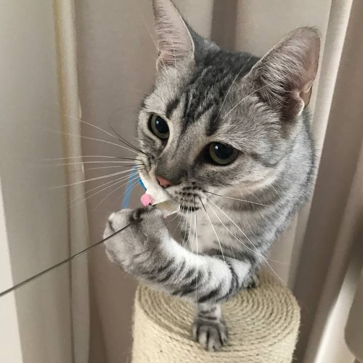 Fa629e73 80b1 43a8 900d 971a92ec2a1e