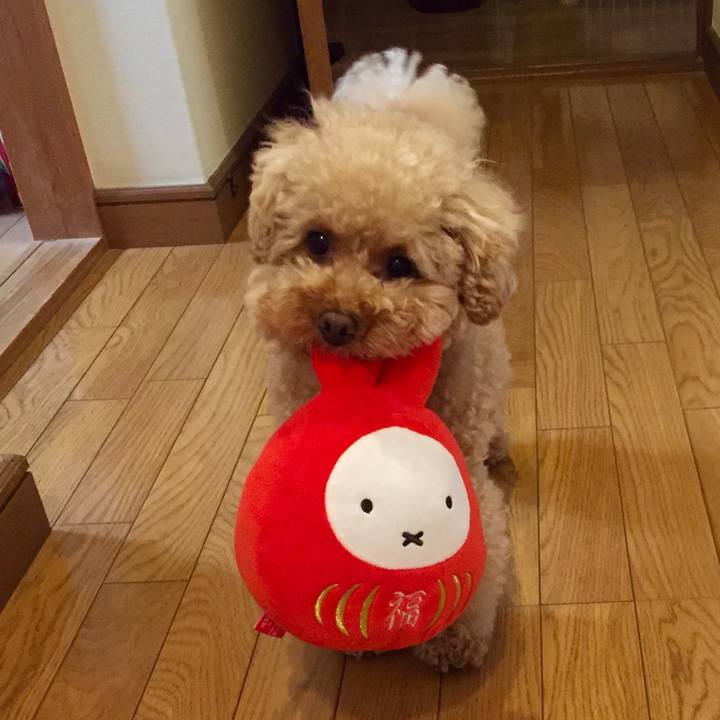 Fa62d309 1174 4fae b17d e6f40f1f13ae