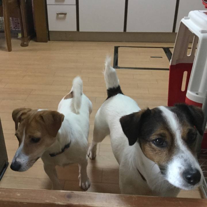 Fa631d7a 8fc3 42b9 bc72 6091742da562