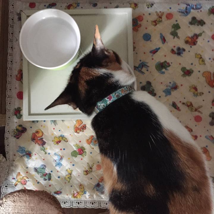 Fa6388ec a42f 4a4f 9ccb 3ac4d6c4dd81