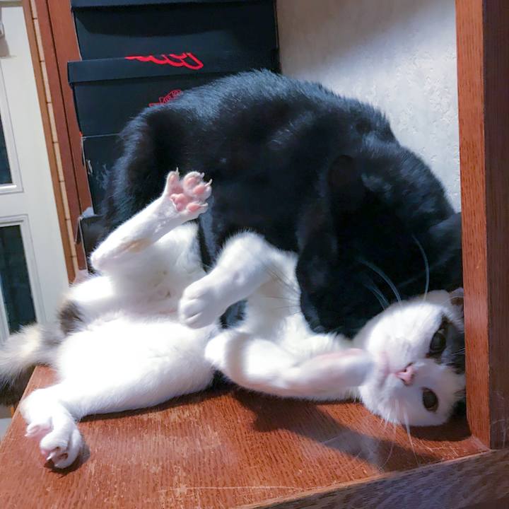 Fa63a7d4 fdff 4bca ac68 f1db9eeb56a6