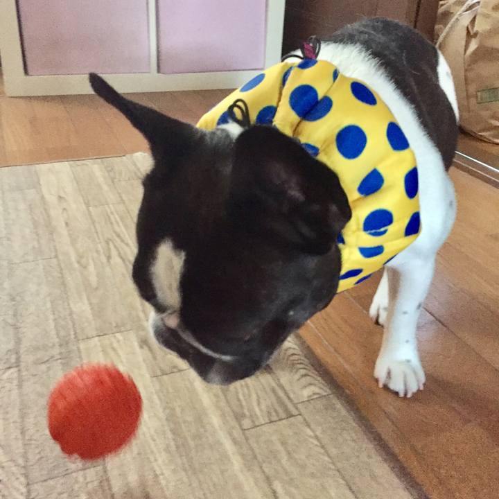 Fa63c2f7 b4d2 4ec3 b30d 1cd2236d3159