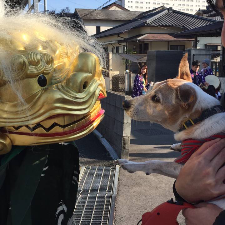 Fa6439d6 0f29 46a8 b687 bc9d0e15883d