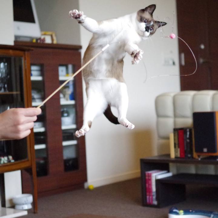 Fa64a019 f923 4c93 a7c6 826e764c97c8