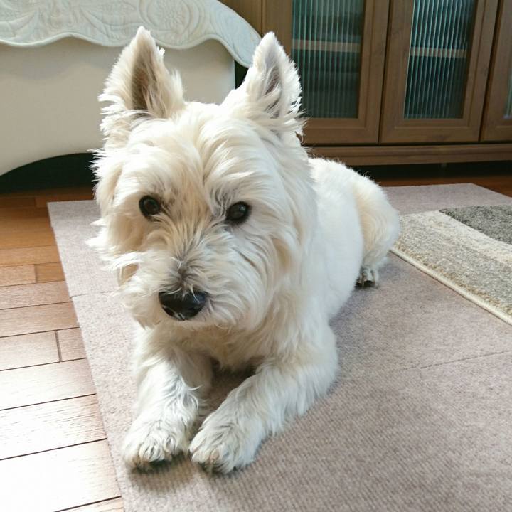 Fa650a9f edd8 4e58 a011 6154ada7cac5