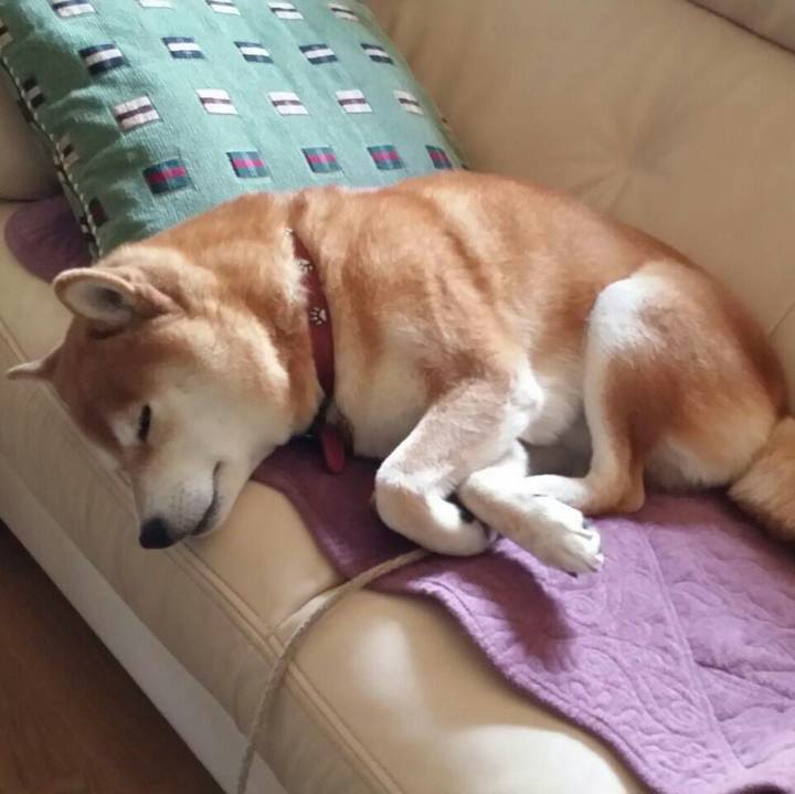 Fa6522ea ff64 4bfa 89a1 fc2faa993dac