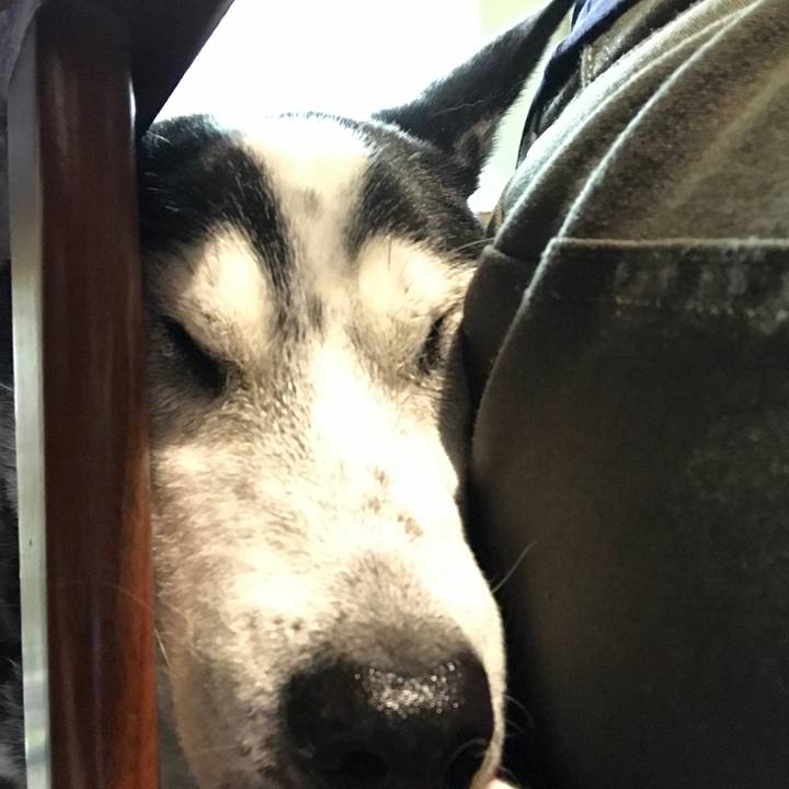 Fa653d17 33ff 4b99 98f7 22d8401263cd