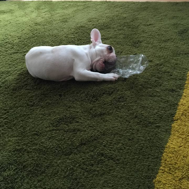 Fa654c55 0772 4c2c 96ca 716595536af6