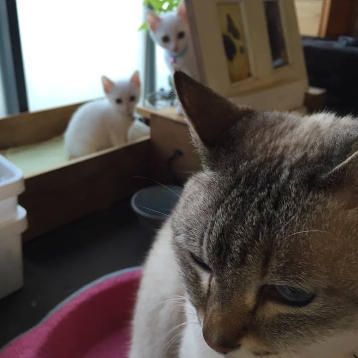 Fa657de7 b155 4371 97e4 d1d46a9a149c