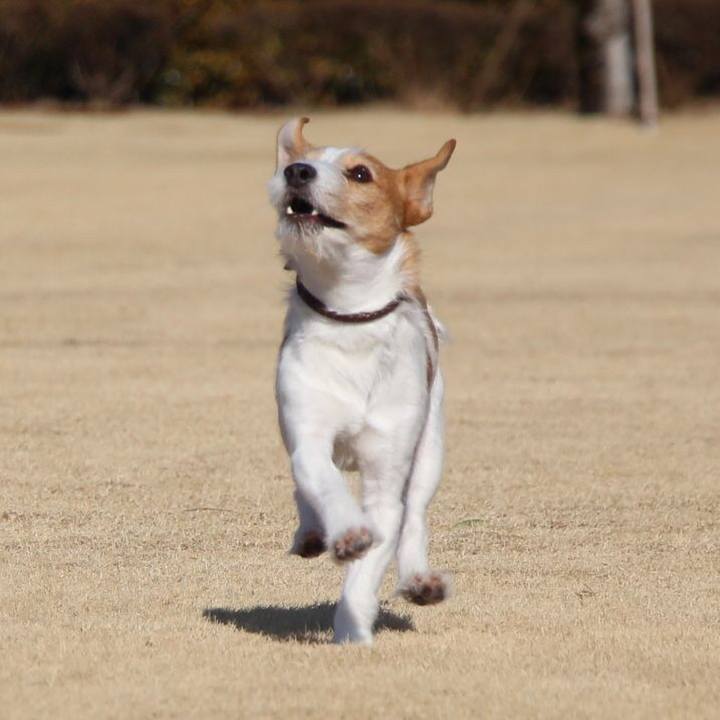 Fa65d8da 7c24 473b 91a5 fefc6f9b2481