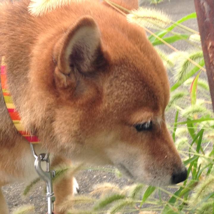 Fa6611ab 7dd8 42cb 82f2 a965974b7bd2