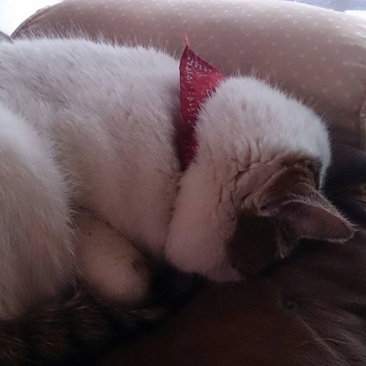 Fa6616d0 0663 4afe 86b8 7fb328dd8d8b