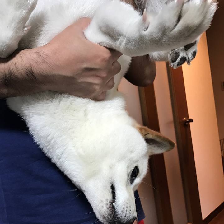 Fa663db1 c666 41c1 9b01 4b4e284f70cf