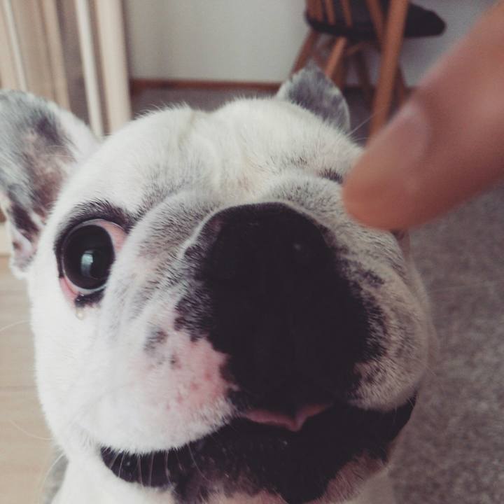 Fa669140 e7fc 42ce be8d 581d9e74a1aa